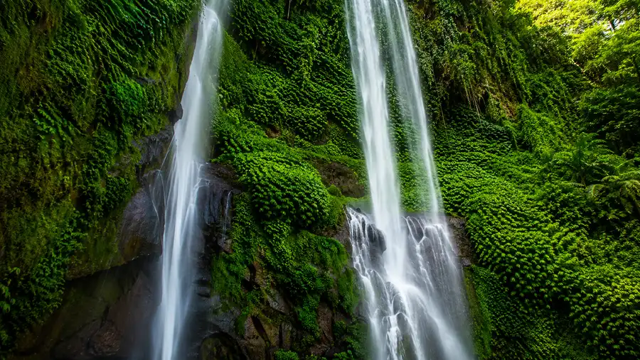 Best Sekumpul Waterfall Tours & Itineraries