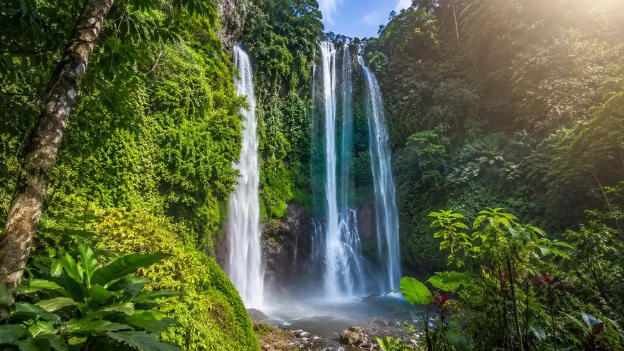 Sekumpul Waterfall Trekking Guide: Hike & Trails
